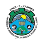 Logo 11