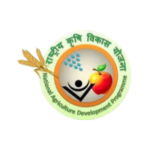 Logo 8